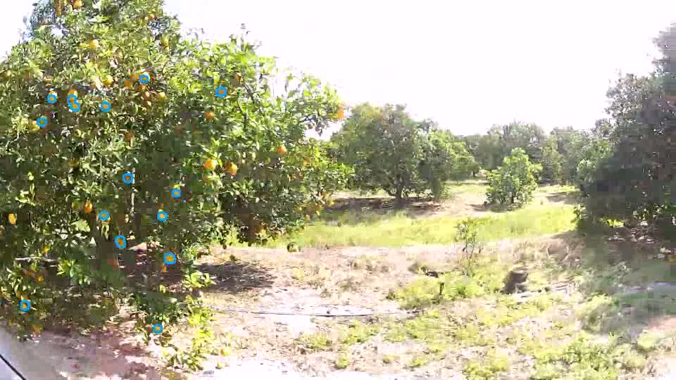 Orchard imagery with visible fruit marked by blue detection circles