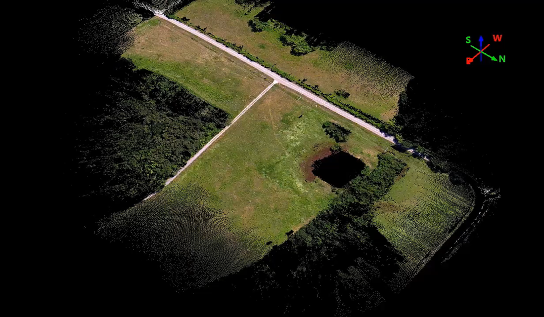 Colorized point cloud showing a road, open ground, trees, and a depression