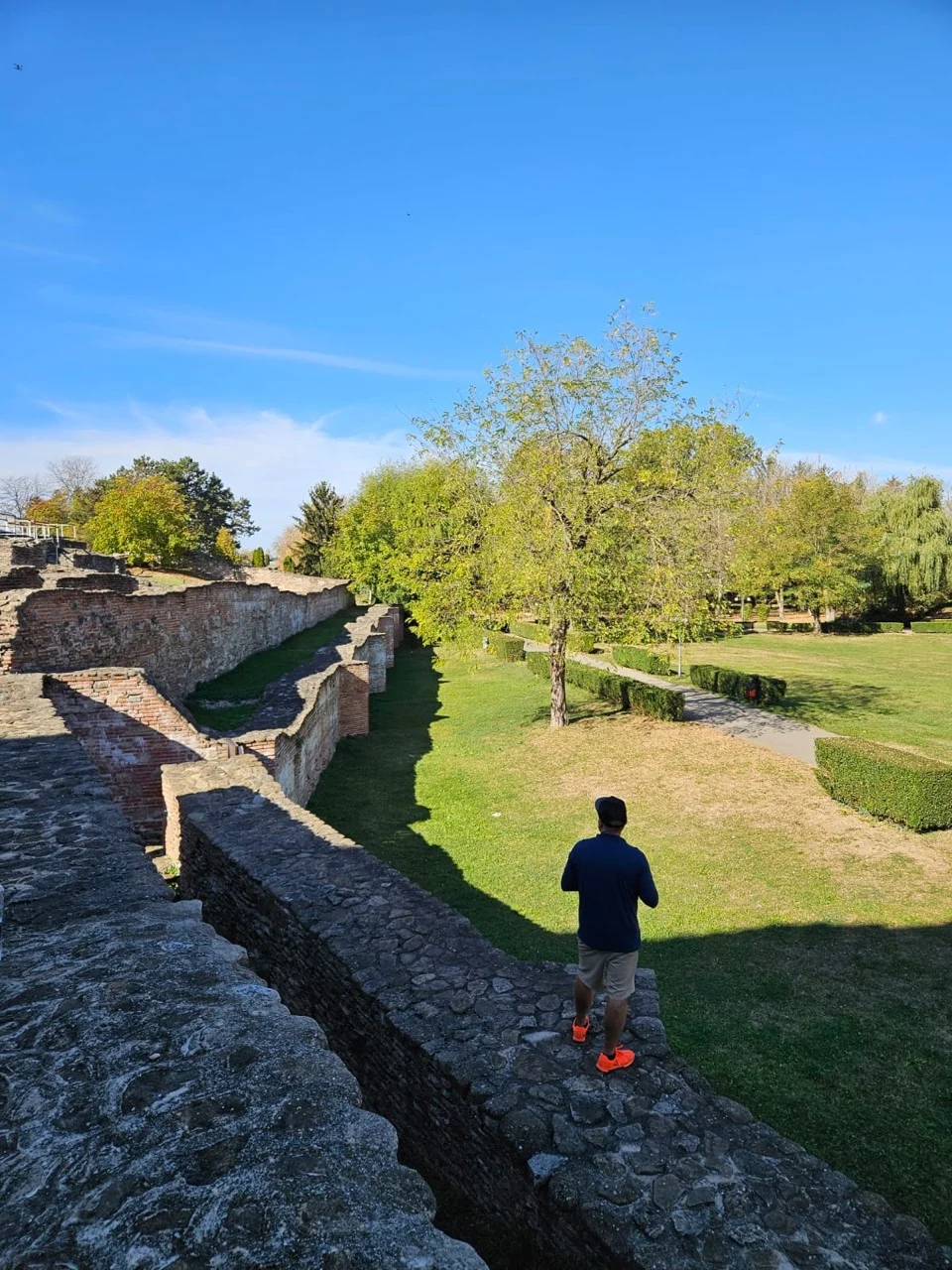 A person standing among the historic masonry ruins and gardens during the Romania visit